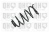 VW 1J0411105CT Coil Spring